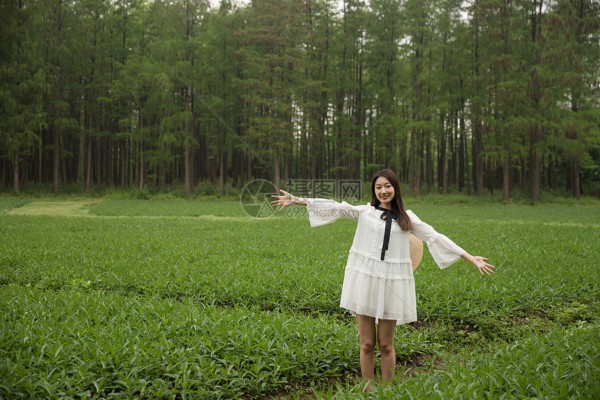 武汉江滩夜色美，江滩茶香醉人心